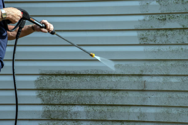 Best Sidewalk Pressure Washing  in Sandy Valley, NV
