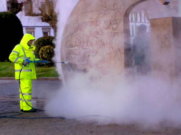 Best Roof Pressure Washing  in Sandy Valley, NV